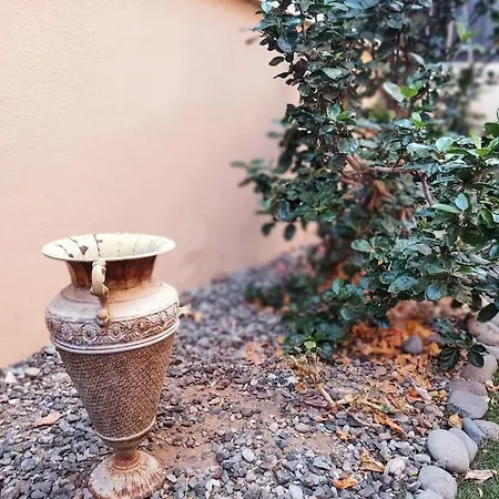 Urban Garden Hideaway Διαμέρισμα Palm-mar